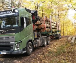 Holztransporte Huppmann GmbH Bild 1
