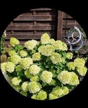 Haus Veronika Bild 7