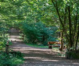 FriedWald Bramsche Bild 7