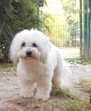 Les Moustaches en Vacances image 14