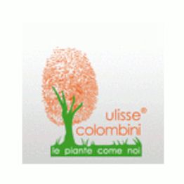Societa' Agricola Colombini Ulisse logo