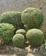 Les 4 Saisons image 4