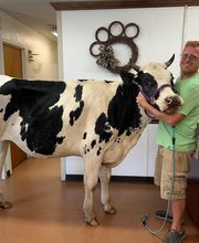 Independence Animal Hospital image 11