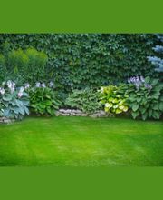 LSR Espaces Verts image 2