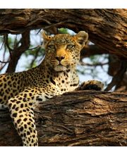 Explorer Reisebüro München Bild 3