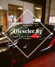 Dieselec 87 SA image 2