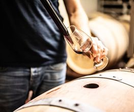 Weingut Hubertus M. Apel Bild 14