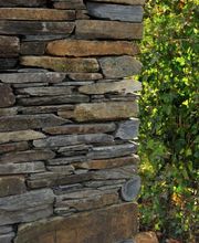 Arbor'et Sens Paysage image 8