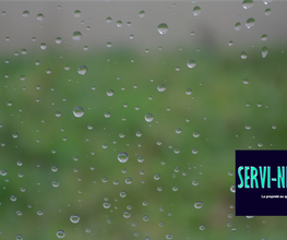 Servi net image 4