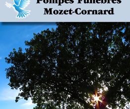 Cornard image 1