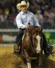 Volker Schmitt Reining Horses Bild 1