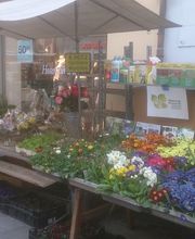 Hotz Gärtnerei AG Bild 2