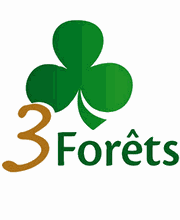 3 Forêts Ecouen image 11