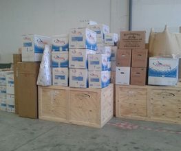 18170142-1-qQeeuPqYUP1519320576827.jpeg