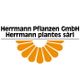 Herrmann Pflanzen GmbH