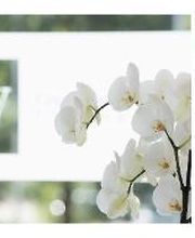 R & W Finanzservice Franken GmbH Bild 1