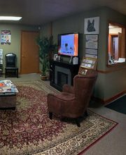 WNY Pain Relief & Integrative Wellness Center image 17