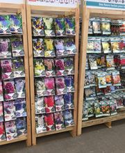 Bricomarché Saint Pierre lès Elbeuf image 10