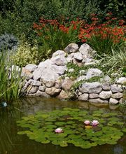 FLORENT GARDEN image 1