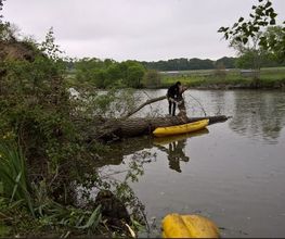 Emeraude Elagage image 2