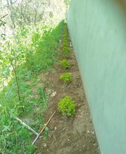 Jaumeenvironnement image 1