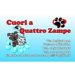 Cuori a Quattro Zampe logo