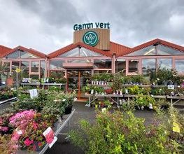 GAMM VERT image 2