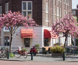 Cafe Restaurant Pan afbeelding 16