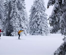Chemins de fer du Jura Bild 2