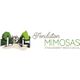 Fondation Mimosas