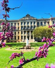 Saint Mary's University of Minnesota image 14