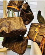 Gallery Cliente
