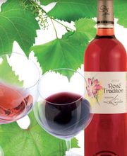 DOMAINE LOU GAILLOT image 1
