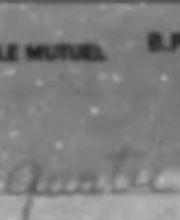 Andre Navarro image 7