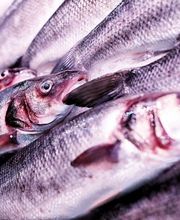 Julio Pérez SL imagen 14