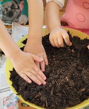 Tageskindergarten Froschkönig Bild 3