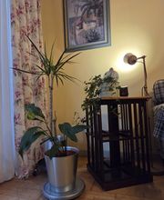 310481783-1-4CQl5Z0g7B1785311263538.jpeg