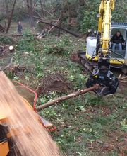 Earl Riou Jacques image 2