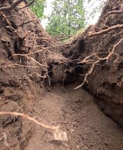 Woodfellows Baumfällung & Baumpflege
Adam-Kraft-Straße 3
90419 Nürnberg
Telefon: 01573 8265753
E-Mail: baumpflege@woodfellows.de