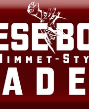 CHINESE BOXING ACADEMY Bild 2