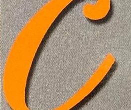 C STYLE image 1