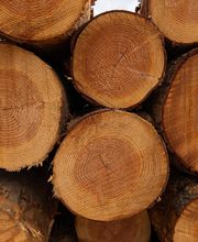 Environnement Bois Energie image 3