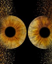 You & Eye Photo Montreux Bild 11