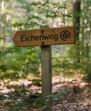 Beschilderte Waldwege helfen Besuchern bei der Orientierung im FriedWald Bremervörde.
