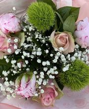 Morisset Sylvie image 9