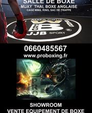 Ecole de boxe pugilistique et de sport associé image 13