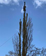 Allais et Fils image 16