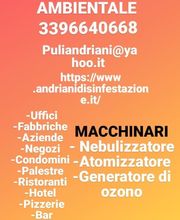 Gallery Cliente