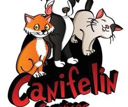 Canifelin Services image 2