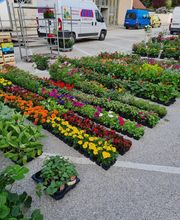 LE JARDIN EN FLEURS image 4